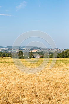 Rural landscape view