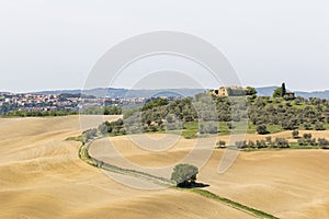 Rural landscape view with a dirt road in the field