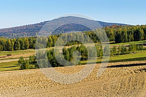 Rural landscape with view on Lysica mountain peak.