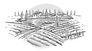 Rural landscape with villa, vine plantation and hills. Hand draw design illustration for wine label or poster