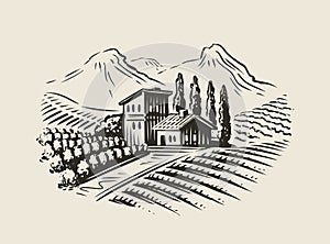 Rural landscape with villa, vineyard fields. Sketch vector illustration for label