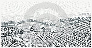 Rural landscape with the village and agricultural fields, drawing in graphic style.