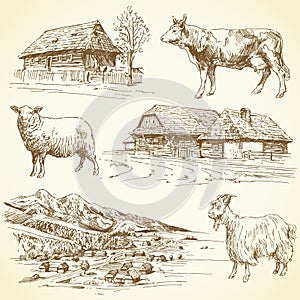 Rural landscape, village, farm animals photo