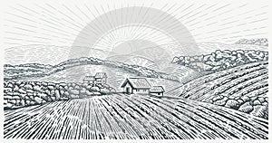 Rural landscape with the village house and agricultural fields, drawing in engraving style. Vector Illustration