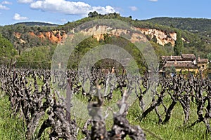 Rural landscape with vineyard and ochre quarries,