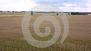 Rural landscape in warm sun light. Fields seen from above.