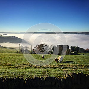 Rural landscape West Yorkshire north England