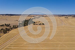 Rural landscape of Western Australia