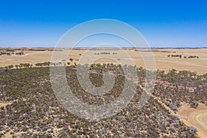 Rural landscape of Western Australia