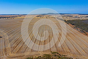 Rural landscape of Western Australia