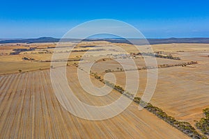 Rural landscape of Western Australia