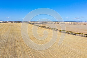 Rural landscape of Western Australia