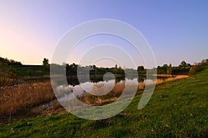 A rural landscape with a wild reed field and a small lake. Ecologically clean place for res