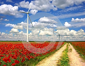 Rural landscape with wind turbines on poppies plan