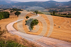 Rural landscape with winding road among fields in countryside