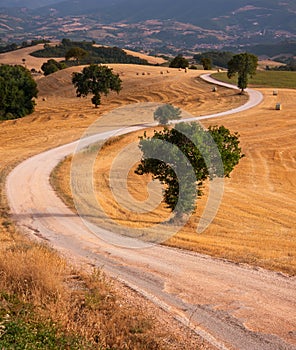 Rural landscape with winding road among fields in countryside