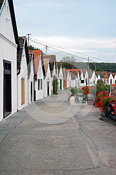 Rural landscape with winery