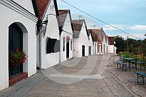 Rural landscape with winery