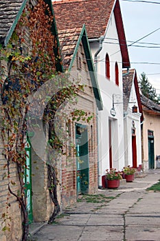 Rural landscape with winery