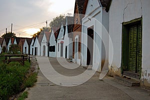 Rural landscape with winery