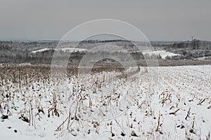 Rural landscape in winter