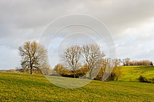 Rural landscape in winter
