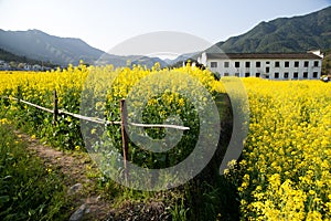 Rural landscape in wuyuan county, jiangxi province, china