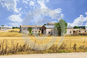 Rural landscape with yellow field and old houses