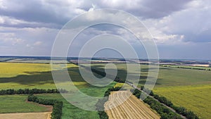 Rural landscape. You can see an aerial view of fields of wheat and sunflowers