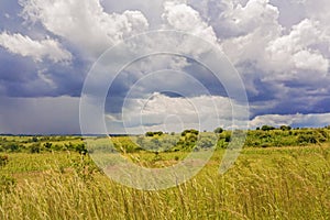 Rural landscape in Zambia