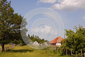 Rural landscapes