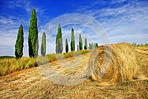 Rural landscapes of beautiful Tuscany, Italy