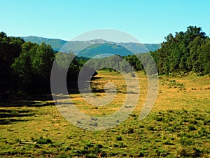 rural landscapes in the Carballeda region