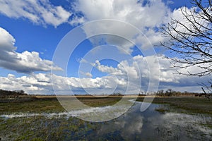 Rural landscapes, early spring. Korolevka village, Novomoskovsk district of Ukraine.