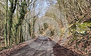 Rural landscapes nature compagne belgique