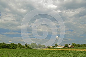 Rural landscapes. New village