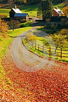 Rural lane in autumn