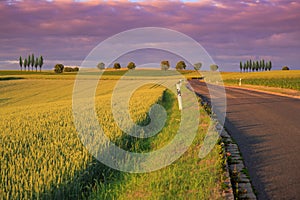 Rural lansdscape at summer