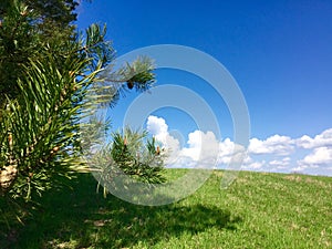 Rural Latgalian countryside.