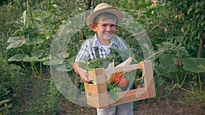 Rural life, funny child in straw hat holds in hands wooden crate with raw veggies at kitchen garden