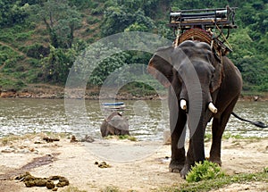 Rural lifestyle in Thailand