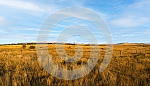 Rural MacKenzie country hydro canal and rural agricultural scenery photo