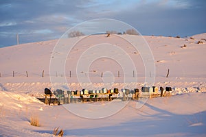 Rural Mailboxes In Cool Winter Landscape