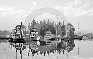 Rural Maine marina