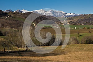 Rural Marche landscape with trees in winter