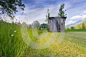 Rural meadow with high grass and old wooden hut