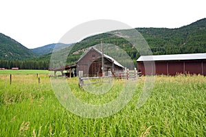 Rural Meadow with Red Barn