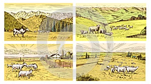 Rural meadow set. A village landscape with sheep, hills and a farm. Sunny scenic country view. Hand drawn engraved