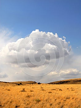 Rural meadow with storm clouds