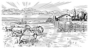 Rural meadow. A village landscape with sheep, hills and a farm. Sunny scenic country view. Hand drawn engraved sketch